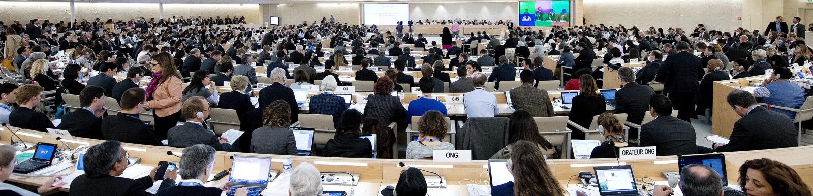 Human Rights Council Opens 23rd Session, Geneva, May 2013