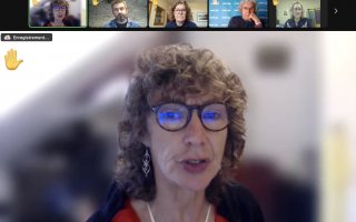 Screenshot of Zoom call showing Sandra Fredman talking with several thumbnail images of people with virtual hands raised