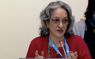 Farida Shaheed, the UN Special Rapporteur, in mid speech at the UN general assembly