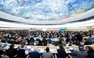 Human Rights Council Opens 23rd Session, Geneva, May 2013